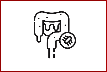 Homo sapiens / Intestinal Disease